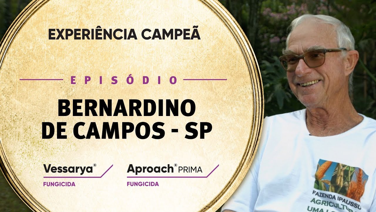 EP 11: Bernardino de Campo/SP